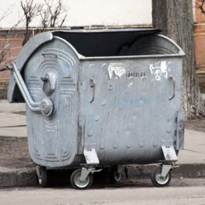 В Пушкине ищут женщину, выбросившую младенца в мусорный бак