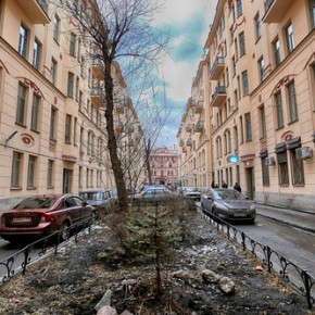 Улица или сквер Довлатова могут появиться в Петербурге