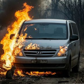 На Дунайском пенсионер сжёг шесть иномарок из-за задавленного кота