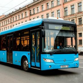Новые автобусы-гармошки для Санкт-Петербурга будут трёх марок