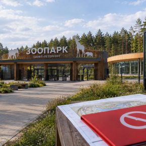 Новый петербургский зоопарк в Юнтолово в ближайшие 3 года даже не заложат