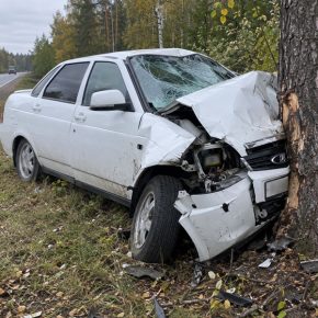 ДТП на Мурманском шоссе: белую Лада Приора нанизало на дерево