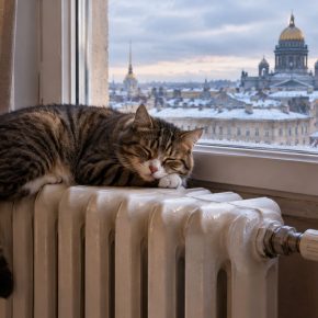 Отопление и периодическое протапливание в сезоне 2026 оценили в Петербурге